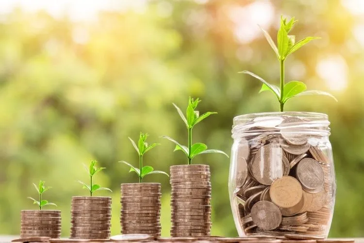 Concept d'épargne et protection : Une plante poussant sur des pièces de monnaie, symbolisant la croissance du capital en Assurance Vie.